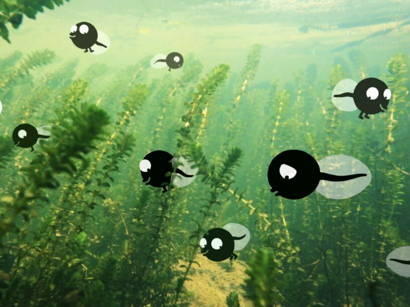 Berner Kurzfilm Dossierbild