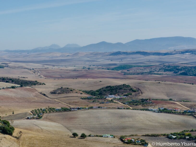humberto ybarra blog bern ist überall
