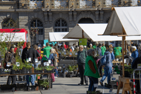Seit über 30 Jahren in Bern: Der Wildplanzenmärit mit über 350 Pflanzen. (Foto: zvg).